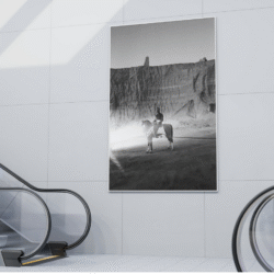 Shayan Sajadian - Madness, I