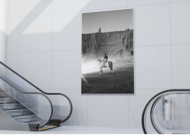 Shayan Sajadian - Madness, I