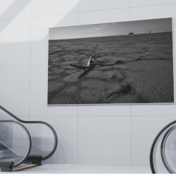 The tragedy of Urmia lake, V