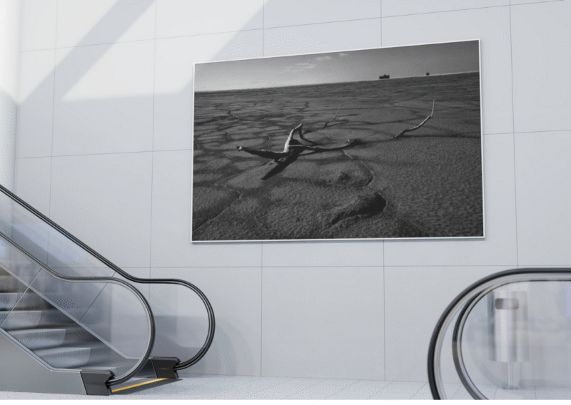 The tragedy of Urmia lake, V