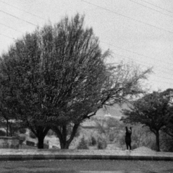 14 Morning Flâneuring (Lomography), III