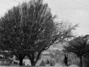 Morning Flâneuring (Lomography), III