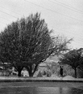 14 Morning Flâneuring (Lomography), III