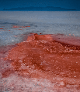 The tragedy of Urmia lake, III