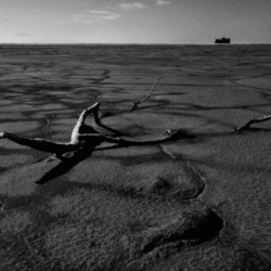 The tragedy of Urmia lake, V