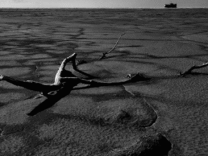 19 The tragedy of Urmia lake, V