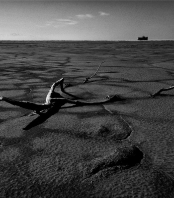 The tragedy of Urmia lake, V