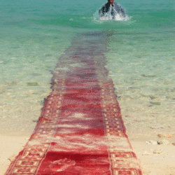 Jalal Sepehr - Water and Persian rugs, I