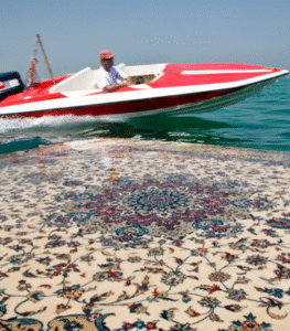 Jalal Sepehr - Water and Persian rugs, II