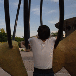 31 Nooshin Shafiee - Pulse, I