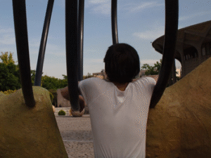 31 Nooshin Shafiee - Pulse, I