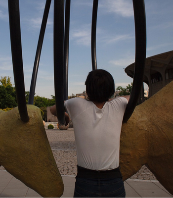 31 Nooshin Shafiee - Pulse, I