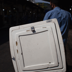 33 Nooshin Shafiee - Pulse, III