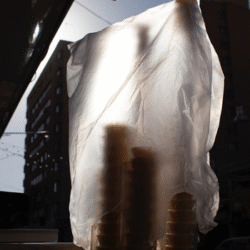 35 Nooshin Shafiee - Pulse, V