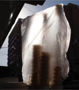 Nooshin Shafiee - Pulse, V