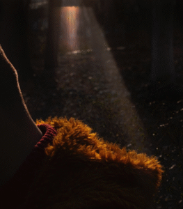 Nooshin Shafiee - Pulse, VIII