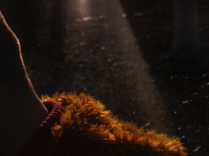 38 Nooshin Shafiee - Pulse, VIII