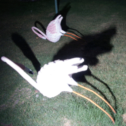 39 Nooshin Shafiee - Funfair, I