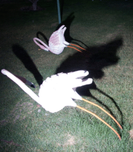 Nooshin Shafiee - Funfair, I