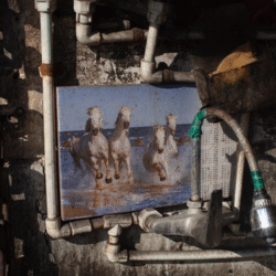 40 Nooshin Shafiee - Pulse, IX