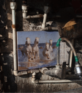 Nooshin Shafiee - Pulse, IX