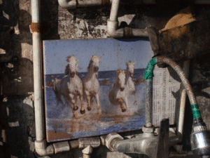 40 Nooshin Shafiee - Pulse, IX