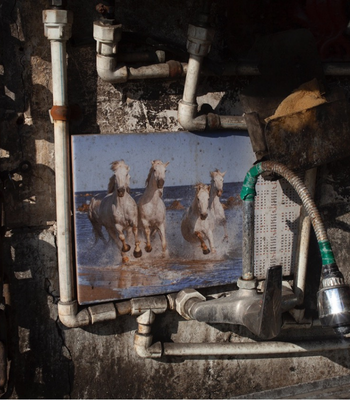 40 Nooshin Shafiee - Pulse, IX