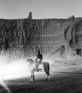 Shayan Sajadian - Madness, I