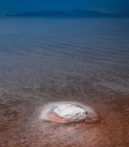 The tragedy of Urmia lake, I