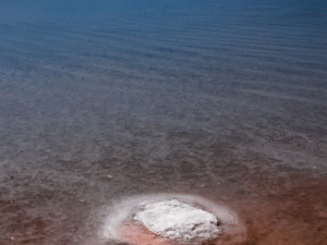 8 The tragedy of Urmia lake, I