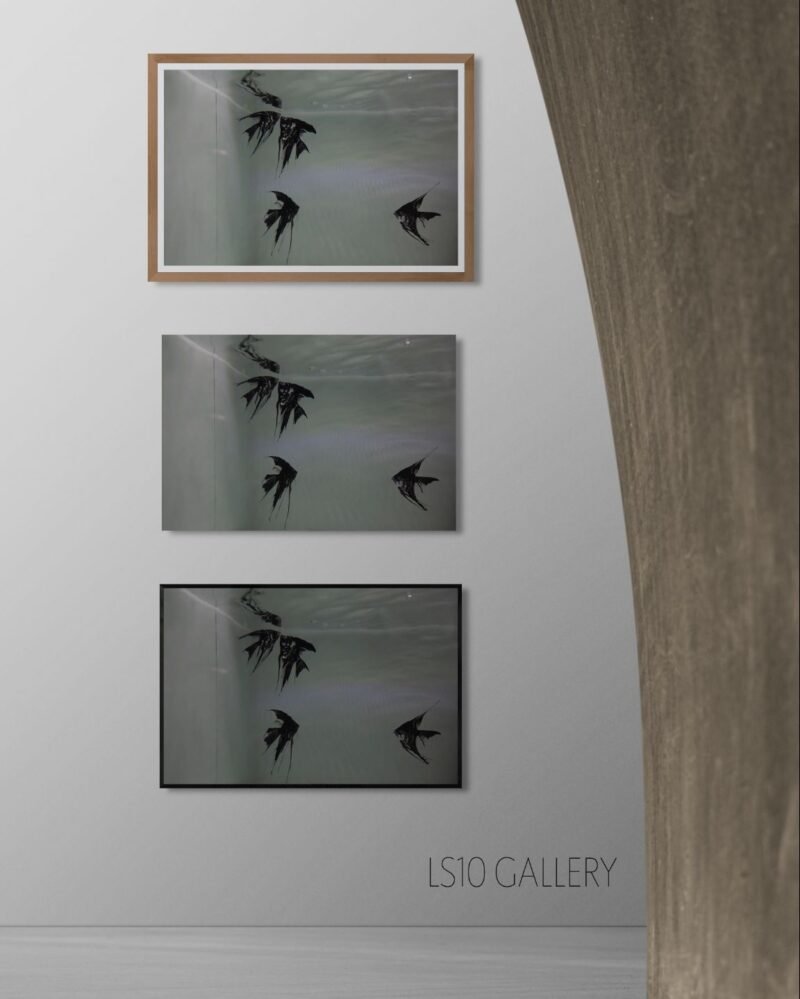 Art gallery wall - 36 (12) Nooshin Shafiee - Pulse, VI