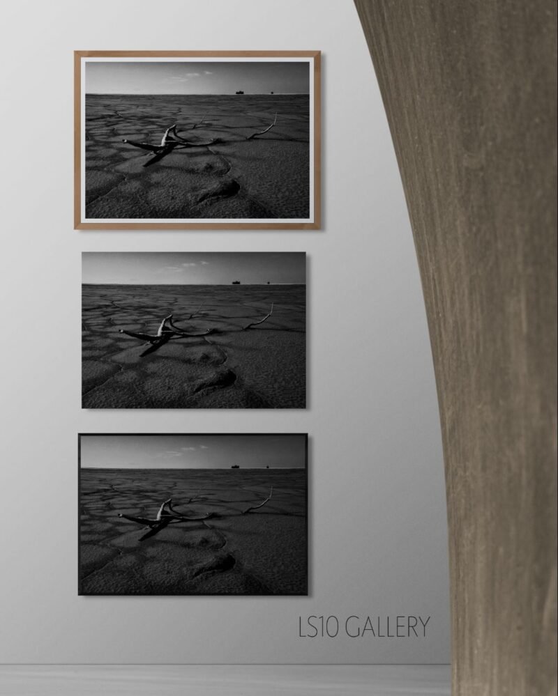 The tragedy of Urmia lake, V