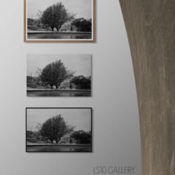 Art gallery wall - 36 (14) Morning Flâneuring (Lomography), III