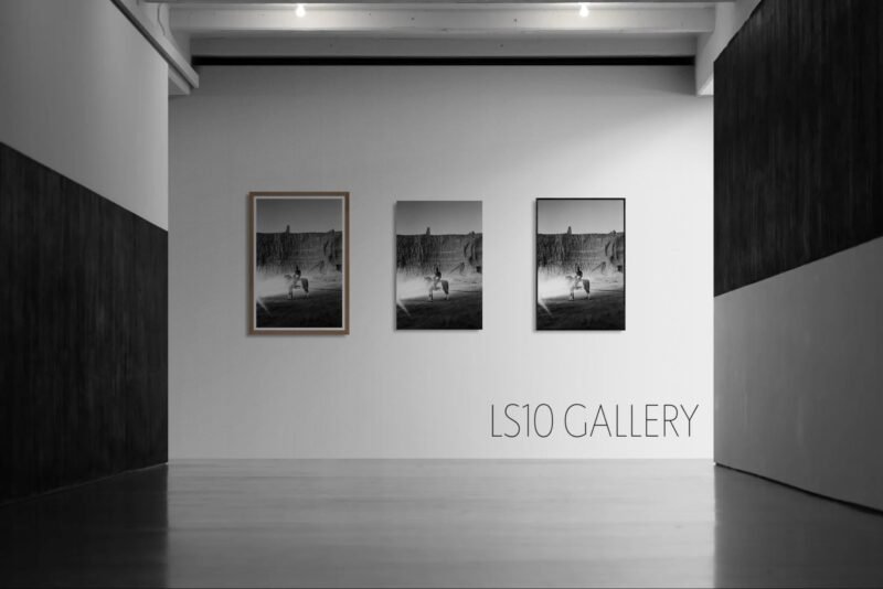 Shayan Sajadian - Madness, I