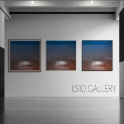 The tragedy of Urmia lake, I