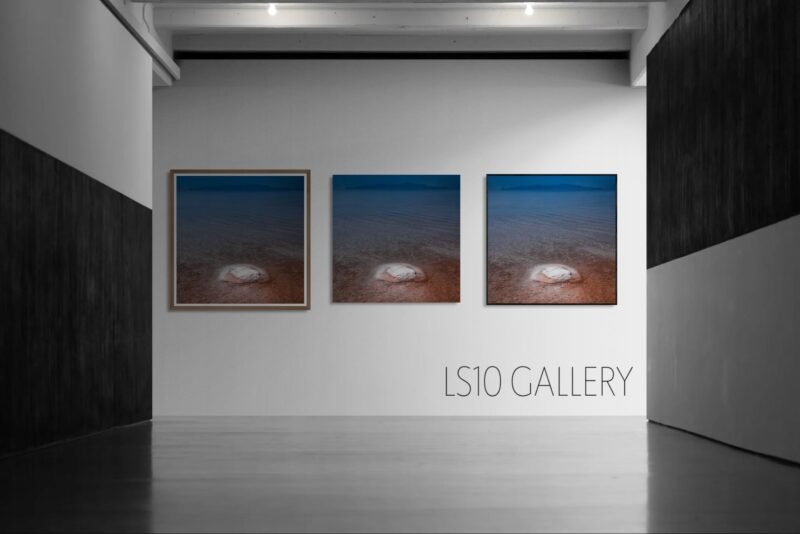 The tragedy of Urmia lake, I