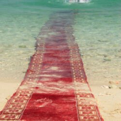 Jalal Sepehr - Water and Persian rugs, I