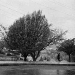 MBayramnejad_MorningFlaneuring_03 Morning Flâneuring (Lomography), III