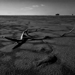 The tragedy of Urmia lake, V