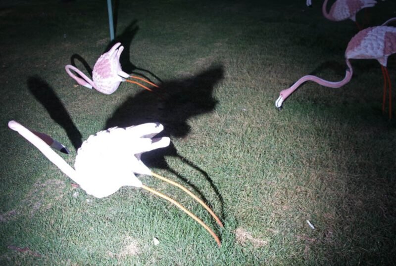 Screenshot Nooshin Shafiee - Funfair, I