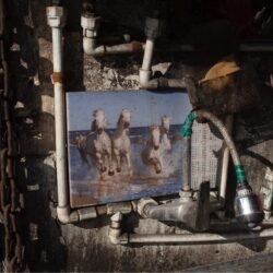 Screenshot Nooshin Shafiee - Pulse, IX