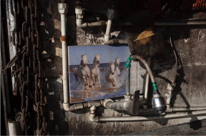 Screenshot Nooshin Shafiee - Pulse, IX