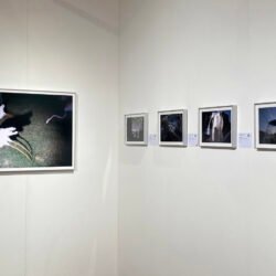 PL25_booth_03 Nooshin Shafiee - Pulse, VII