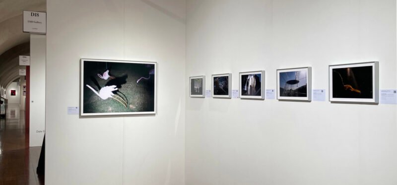 PL25_booth_03 Nooshin Shafiee - Pulse, VII