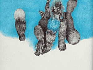 Azadeh Madani - Roam, I