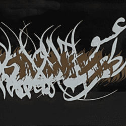 Hassan Nari - Singer of Love