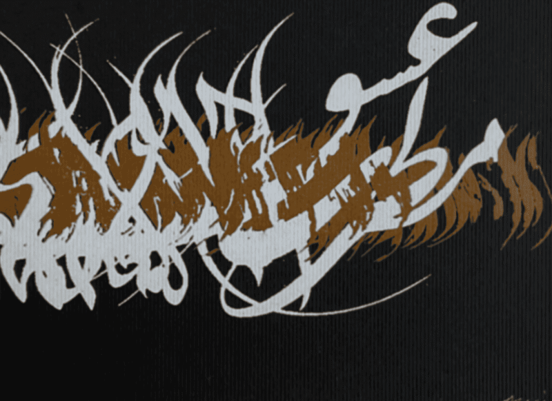 Hassan Nari - Singer of Love