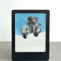 Azadeh Madani - Roam, II