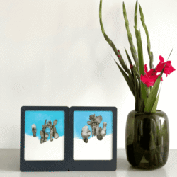 P-AM-G001c Azadeh Madani - Roam, I