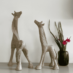 S_AA_001_07 Alikhan Abdolahi - Giraffe (baby)